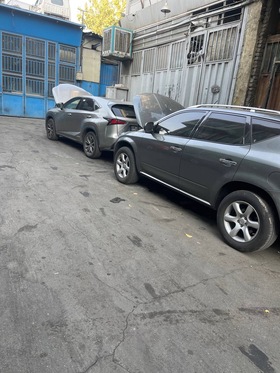 تعمیرگاه مورانو + ماکسیما + لکسوس (10)