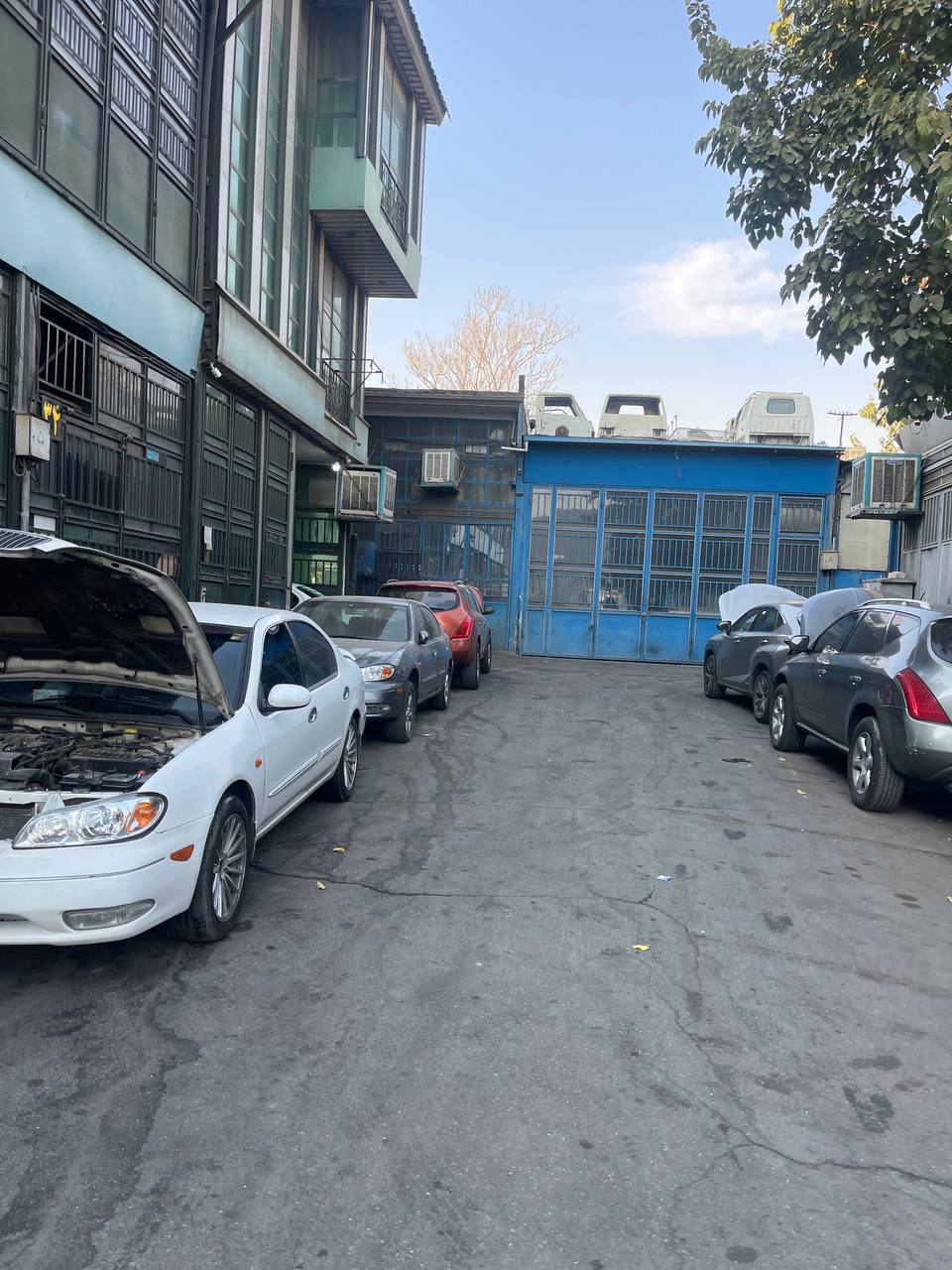 تعمیرگاه مورانو + ماکسیما + لکسوس (5)