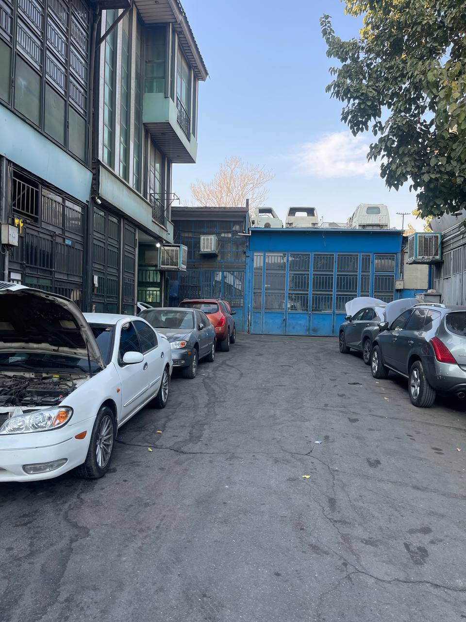 تعمیرگاه مورانو + ماکسیما + لکسوس (6)